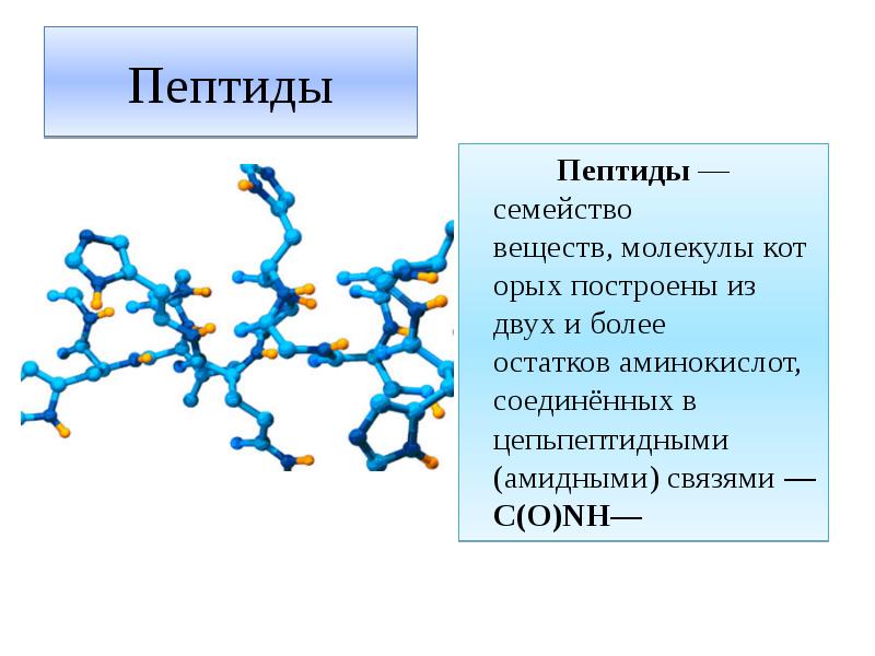 Полипептид это. Молекула пептида. Пептиды презентация. Нейропептиды презентация. Растительные пептиды.