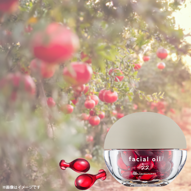 Масло омолаживащее с фитоэстрогенами Facial Oil — купить в Japrise Масло омолаживащее с фитоэстрогенами Facial Oil — фото товара BB Laboratories