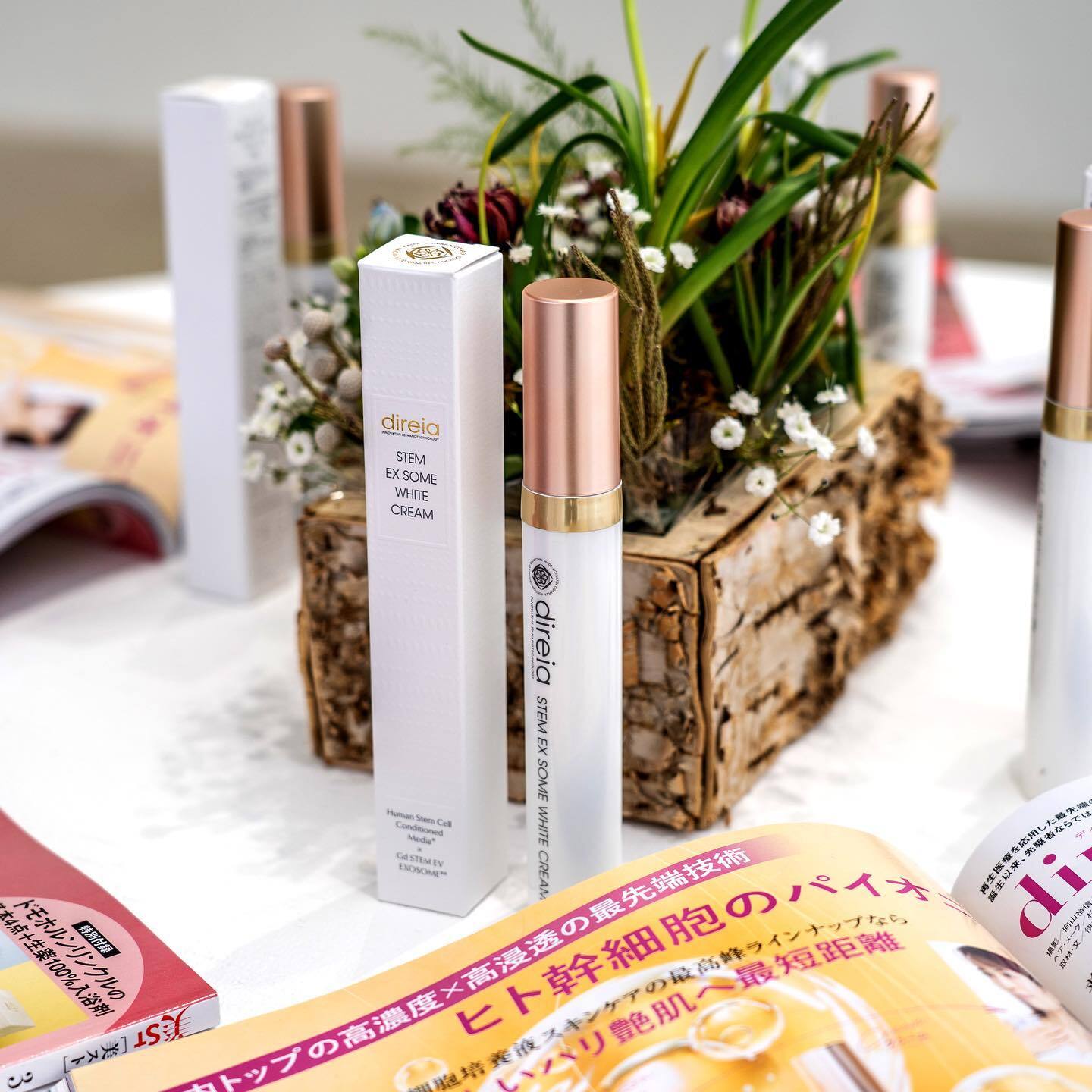 Крем от пигментации нового поколения с экстрактом стволовых клеток для локального применения Direia Stem EX Some White Cream — купить в Japrise Крем от пигментации нового поколения с экстрактом стволовых клеток для локального применения Direia Stem EX Some White Cream — фото товара Direia