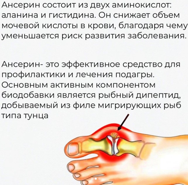 Noguchi Anserine-1.jpg