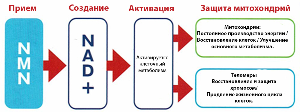 Esthe Pro Labo Deazaflavin hydrohyper-5.jpg Esthe Pro Labo Deazaflavin hydrohyper-5.jpg