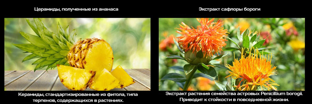 Grazia x Esthe Pro Labo Exsome Premium-2.jpg Grazia x Esthe Pro Labo Exsome Premium-2.jpg