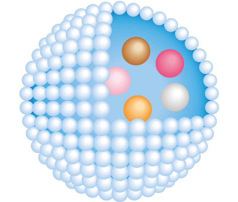 Koh Gen Do Oriental Plants-2.jpg