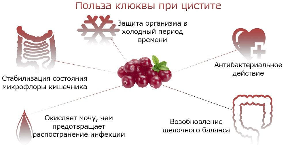 DHC Cranberry Isosamidine-1.jpg