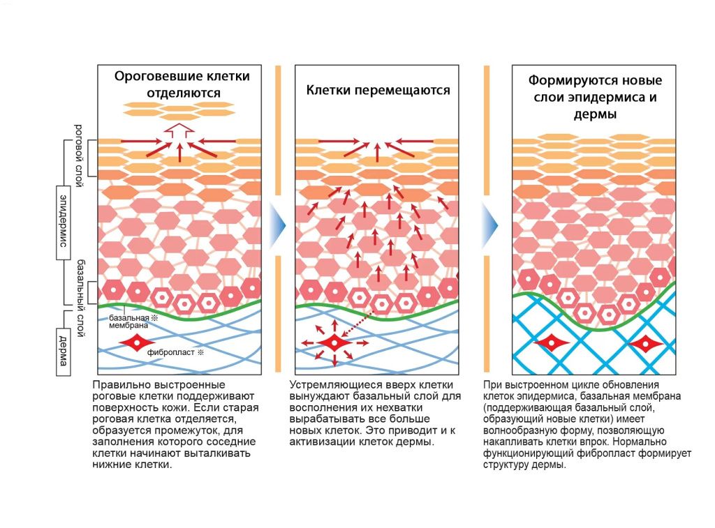piling-5.jpg piling-5.jpg
