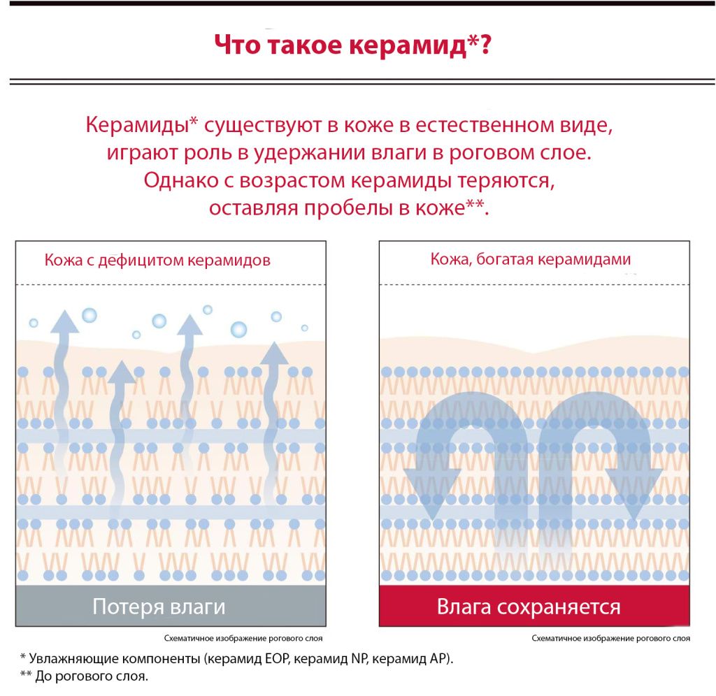 Astalift Men Jelly Aquarista-2.jpg