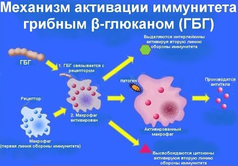 Esthe Pro Labo Women Est Gran Pro-1.jpg