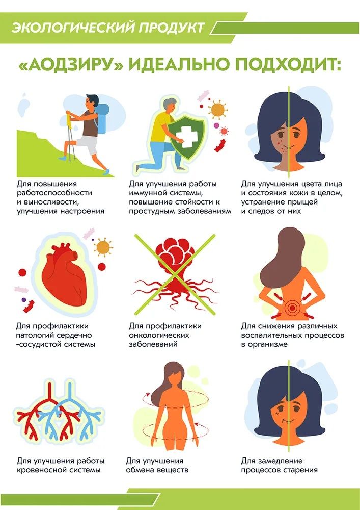 Nihon Yakken Nihonkutsuri-2.jpg