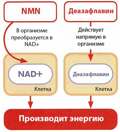 Esthe Pro Labo Deazaflavin hydrohyper-6.jpg Esthe Pro Labo Deazaflavin hydrohyper-6.jpg