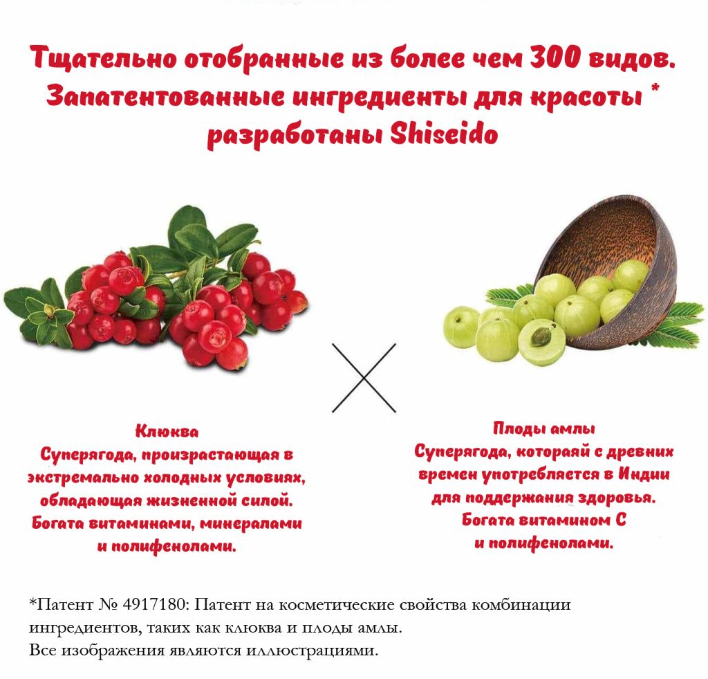 Shiseido The Collagen Luxe Rich-9.jpg