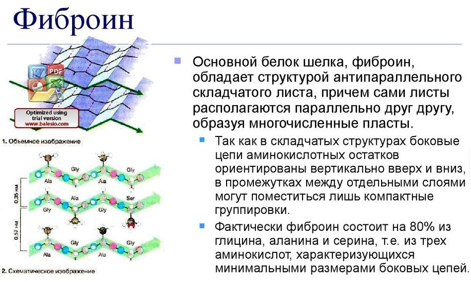 Fibroin statya-1.jpg Fibroin statya-1.jpg