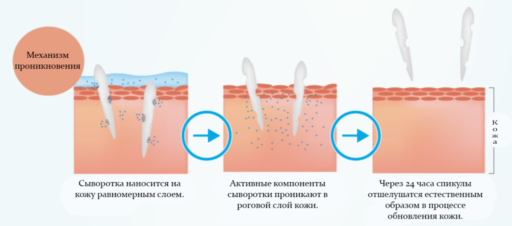 Amenity SC Beaute Premium Injection-3.jpg Amenity SC Beaute Premium Injection-3.jpg