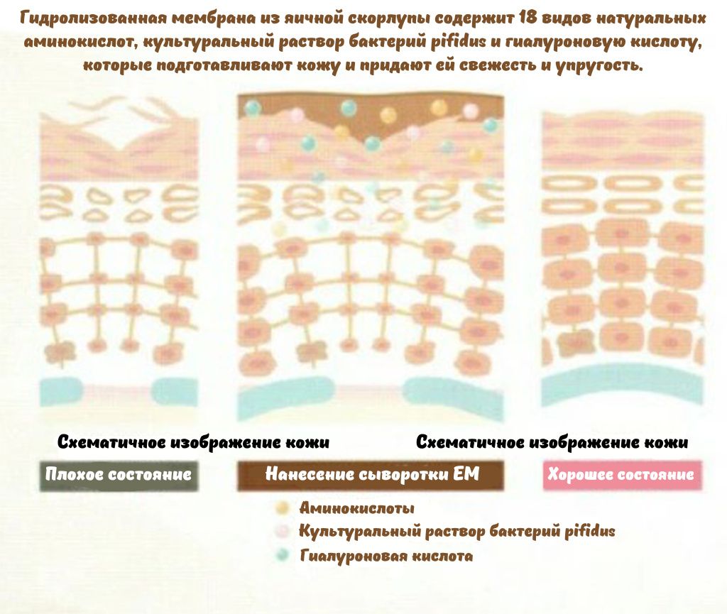 EM Eggshell Membrane Serum-1.jpeg