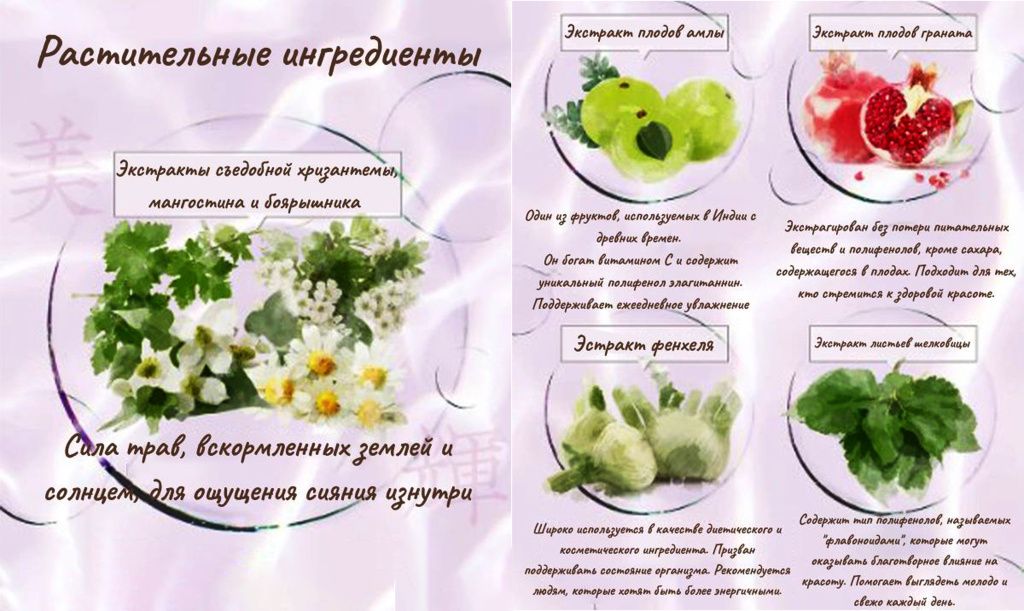 Axxzia AGtheory AG Drink X-6.jpg