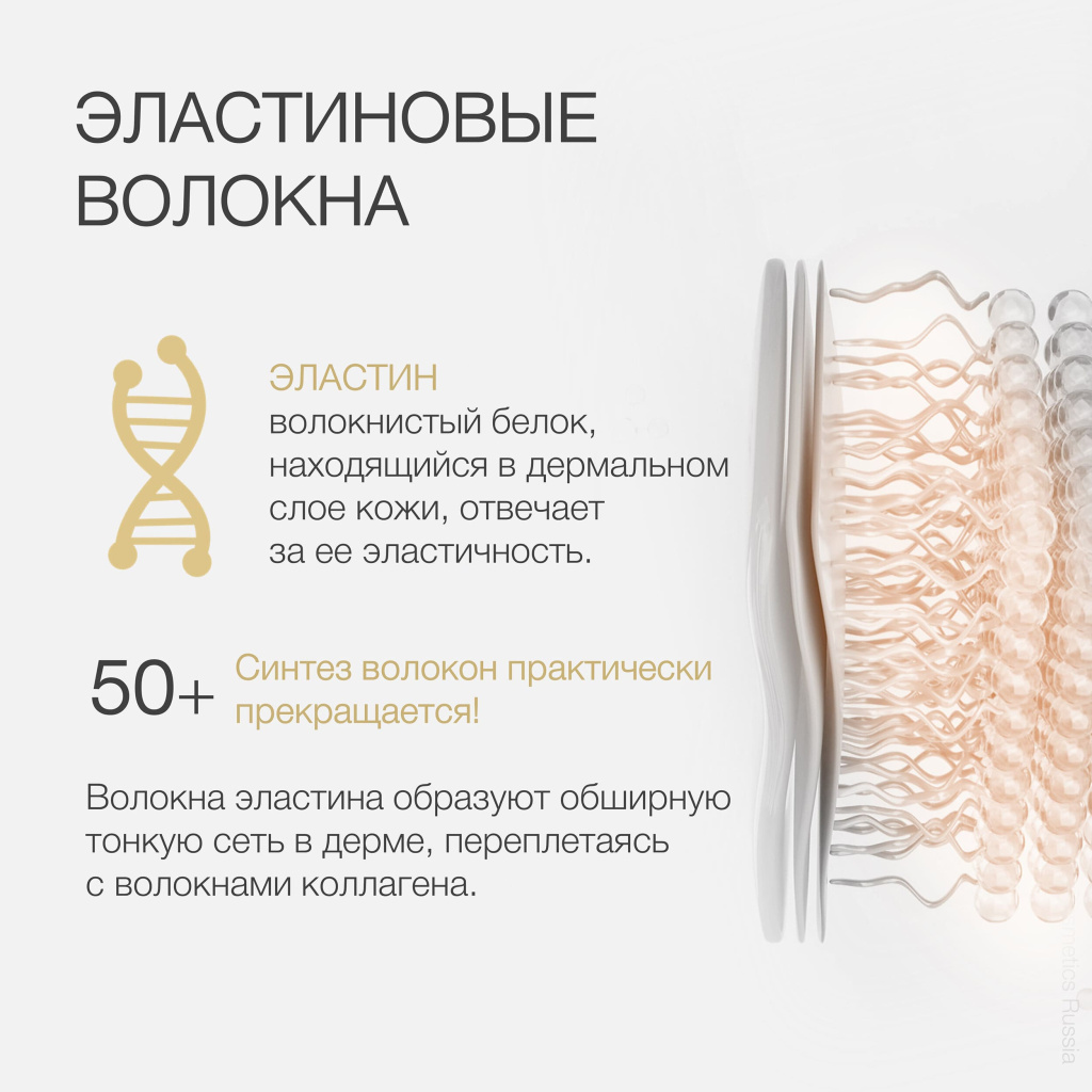 Esthe Pro Labo Elastin W Premium-1.jpg