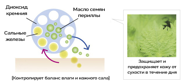 Koh Gen Do Maifanshi Moisture Foundation-5.jpg Koh Gen Do Maifanshi Moisture Foundation-5.jpg