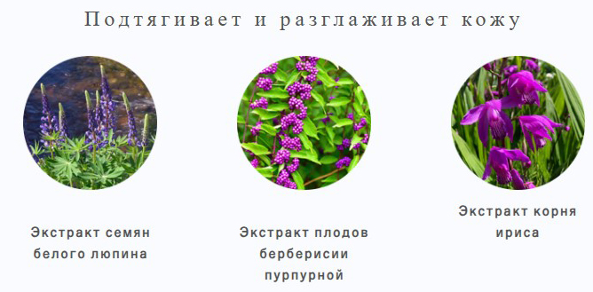 Koh Gen Do SPA Moisture Gel Rich-3.jpg Koh Gen Do SPA Moisture Gel Rich-3.jpg