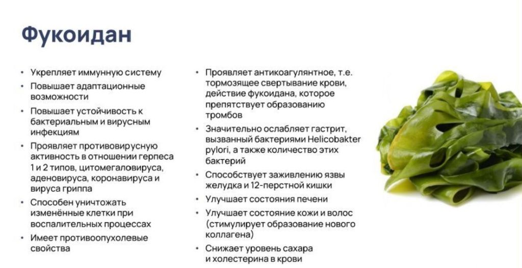 Minami Fucoidan-3.jpg