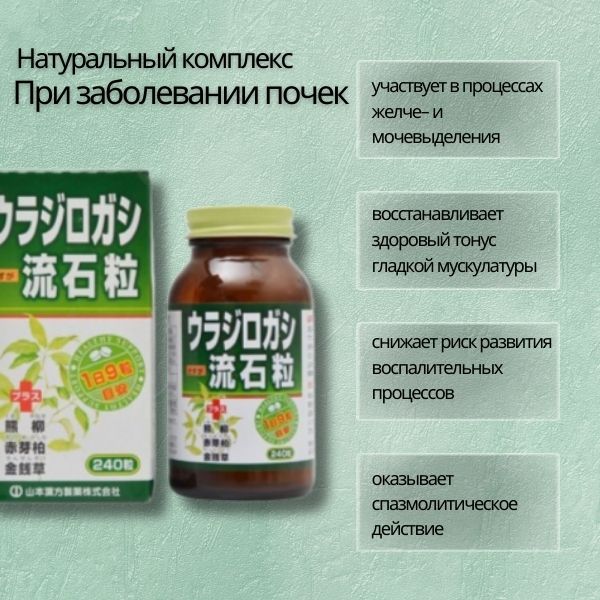 Yamamoto Kampo Urajirogashi Sasuga-1.jpg Yamamoto Kampo Urajirogashi Sasuga-1.jpg