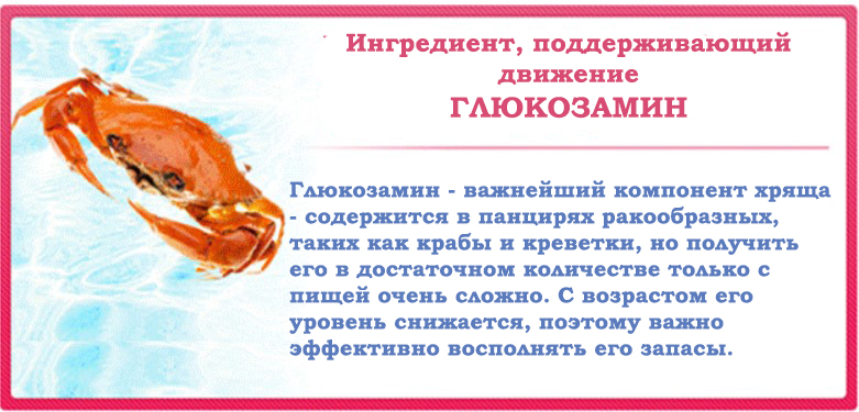 Noguchi Glucosamine-1.jpg Noguchi Glucosamine-1.jpg