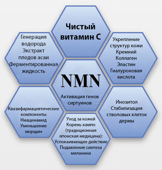 Dr. NMN Hermosa Premium Powder-2.jpg