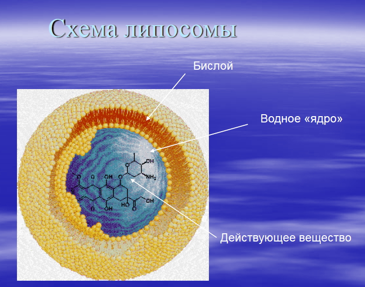 LIPO COLLA Liposome Collagen-1.jpg