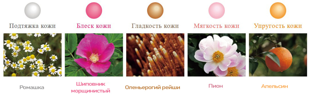 Koh Gen Do Oriental Plants.jpg