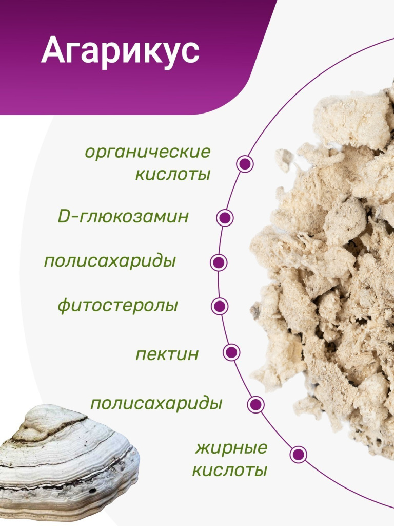 Fine Japan Agaricus-1.jpg