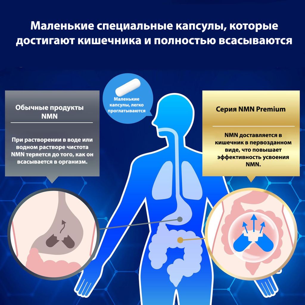The NMN 10000 Premuim Plus-1.jpg The NMN 10000 Premuim Plus-1.jpg