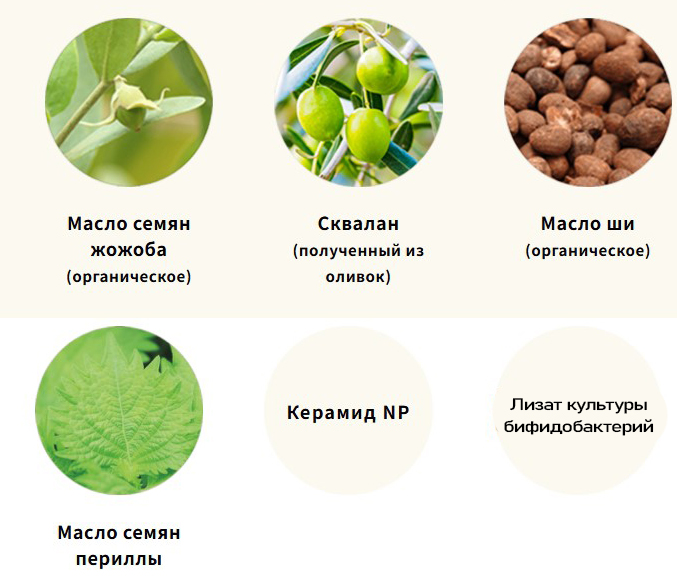 Koh Gen Do Oriental Plants-1.jpg