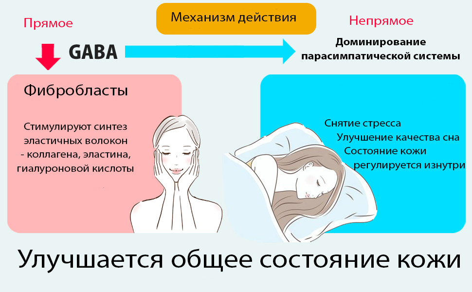 MF Gaba de Hazumi-2.jpg