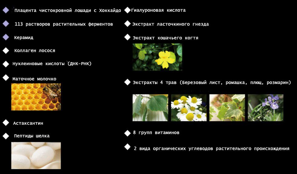 Esthe Pro Labo Plaenzyme EX Grand Pro-2.jpg Esthe Pro Labo Plaenzyme EX Grand Pro-2.jpg