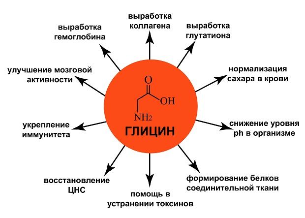 Fine Japan Glycine Theanine GABA Jelly-4.jpg