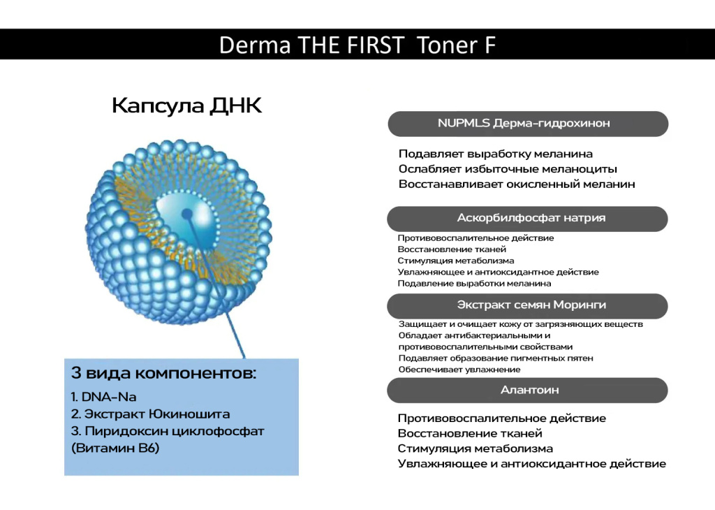 Derma The First-7.jpg