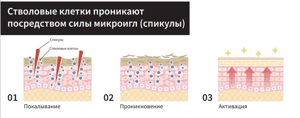 Monnali TR50 Restration Pack-2.jpg