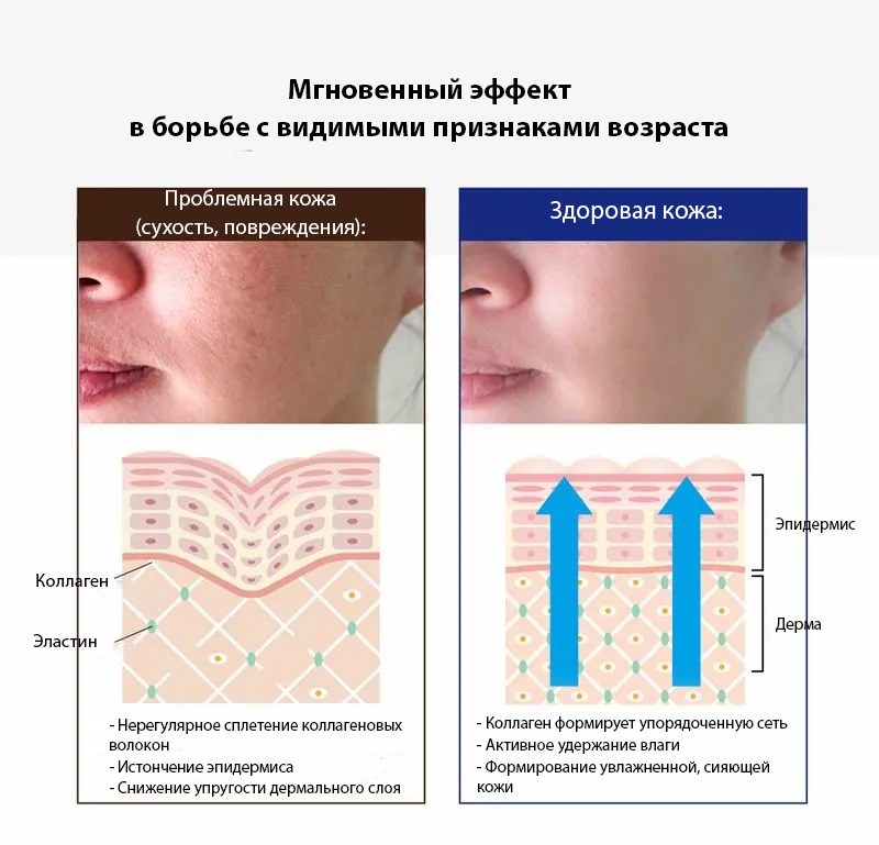 The Stem Cell Bio Liposome Face Premium Mask-2.jpg