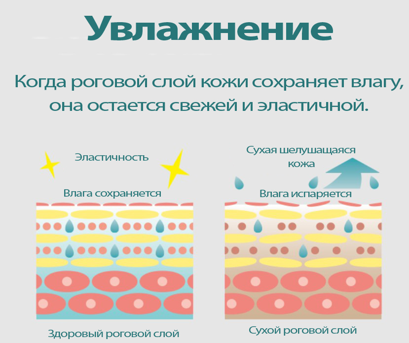 Dear Gel Noumitsu Plus-4.jpg