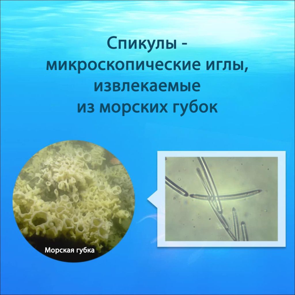 AFC NMN Needle Power Cream-4.jpg AFC NMN Needle Power Cream-4.jpg